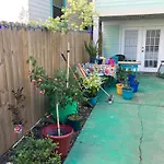 Green Garden View