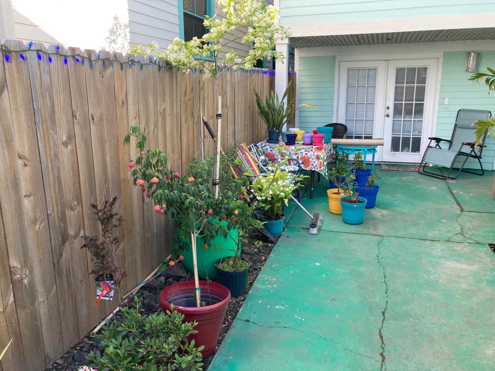 Garden View Apartment