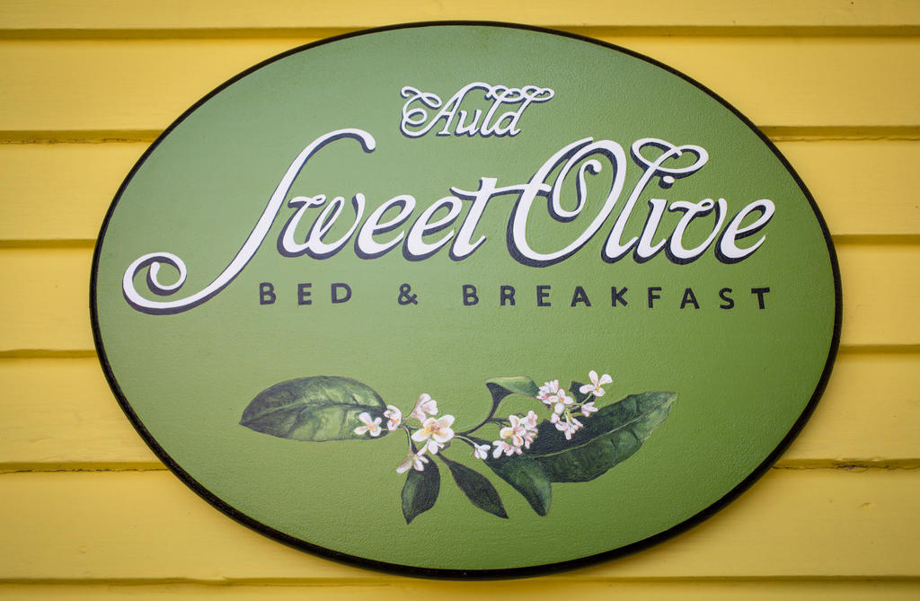 Auld Sweet Olive