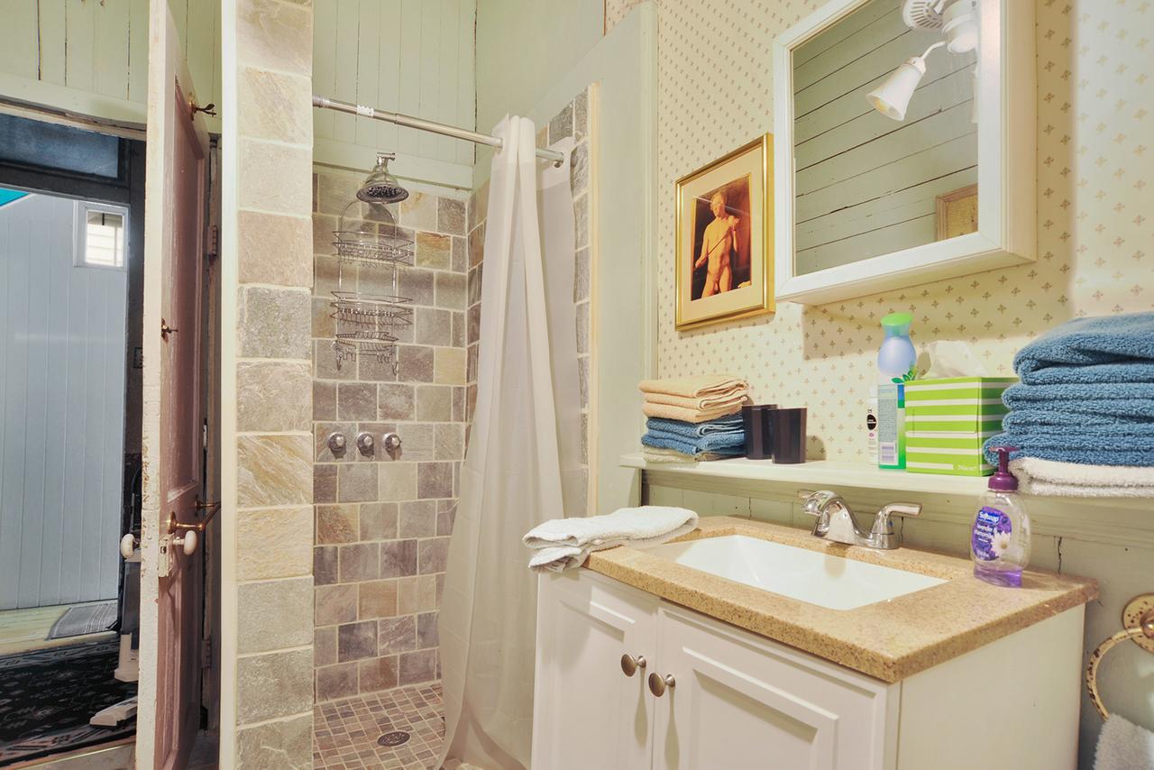 Bed & Breakfast La Dauphine New Orleans