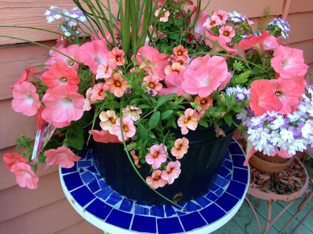 Bed & Breakfast La Dauphine
