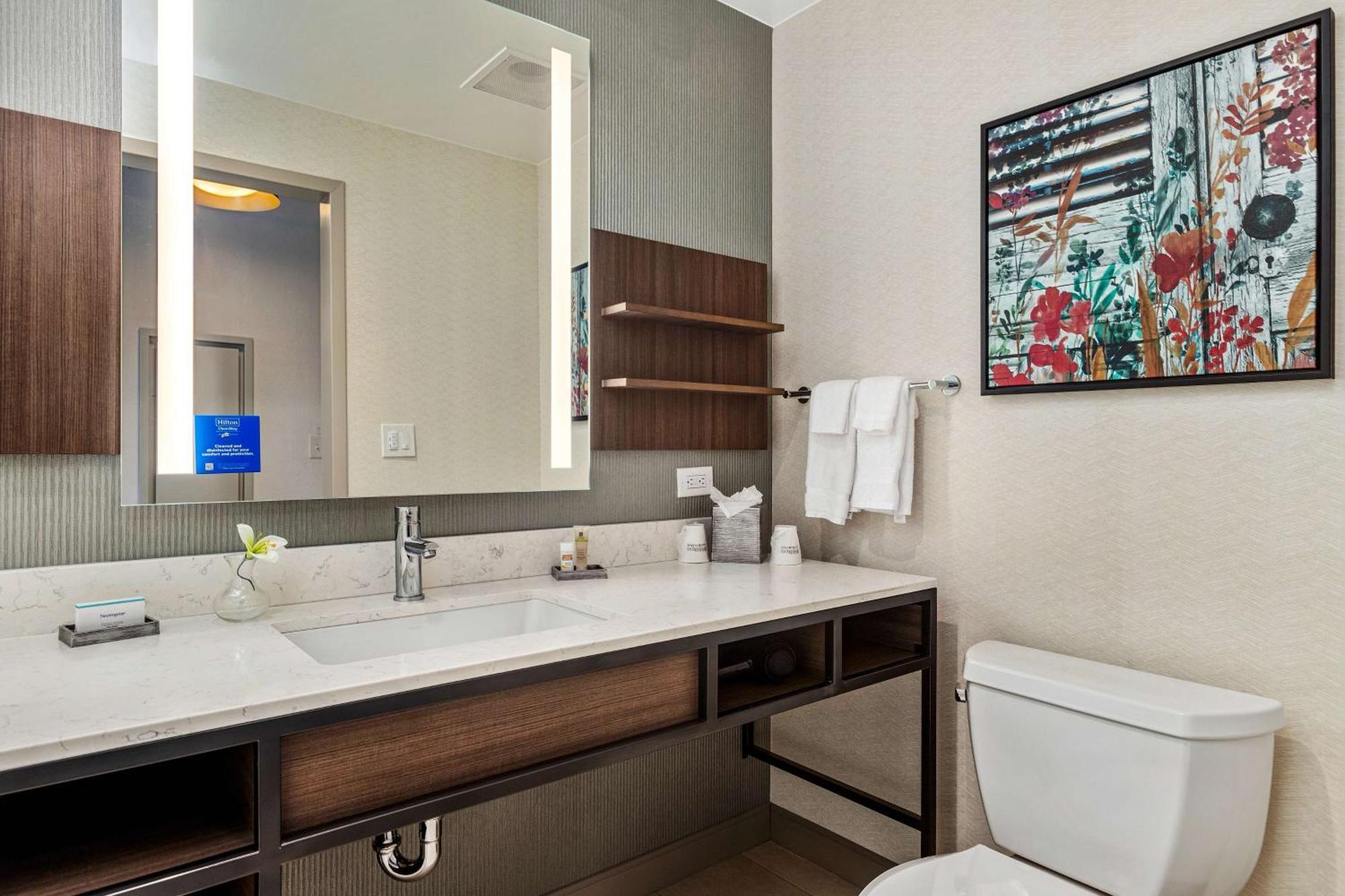 Hilton Garden French Quarter/cbd Hotel
