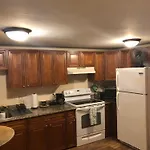Jungle Theme