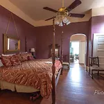 Edgar Degas House Historic Home And Museum