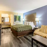 Quality Inn New Orleans I-10 East