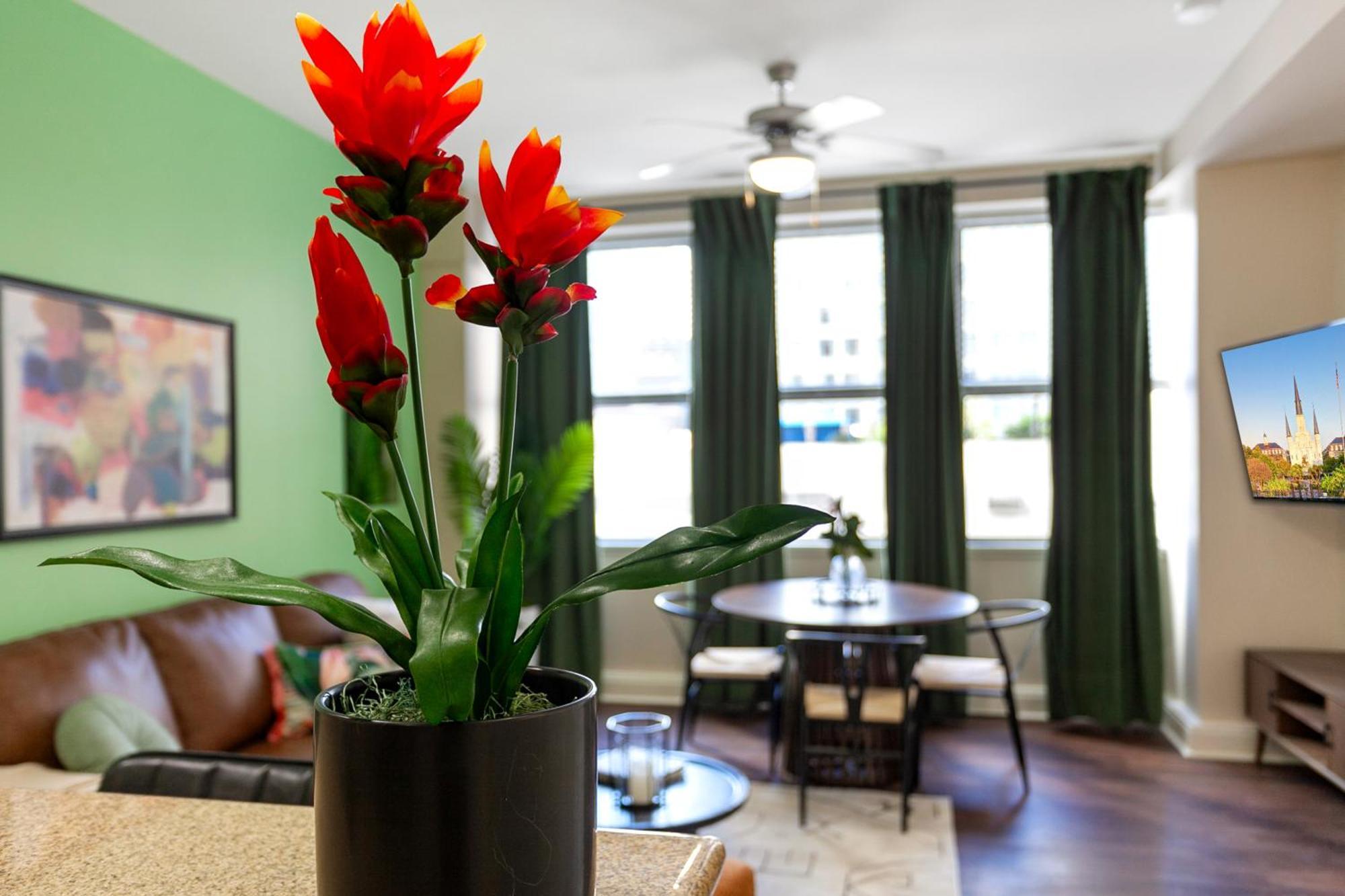 Spacious Modern Near French Quarter Apartment