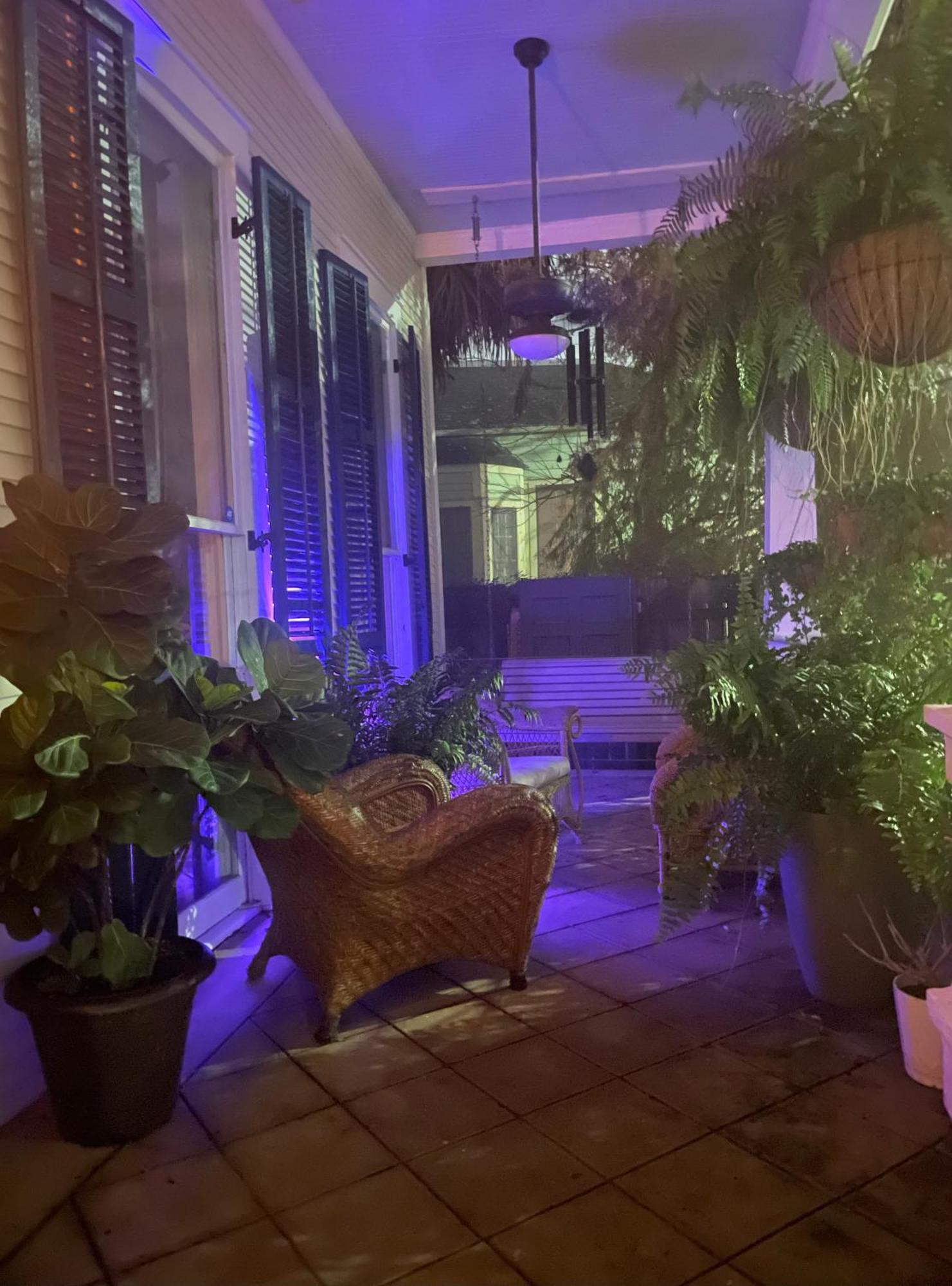 The Dragonfly Treme Guest house *