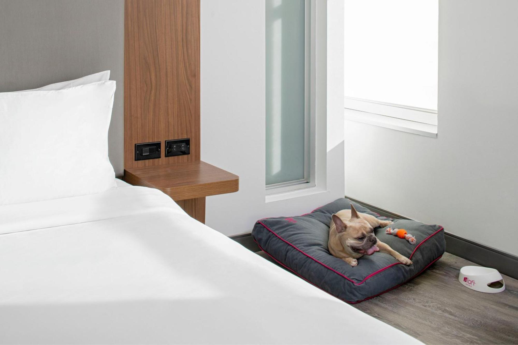 Aloft Downtown 3*