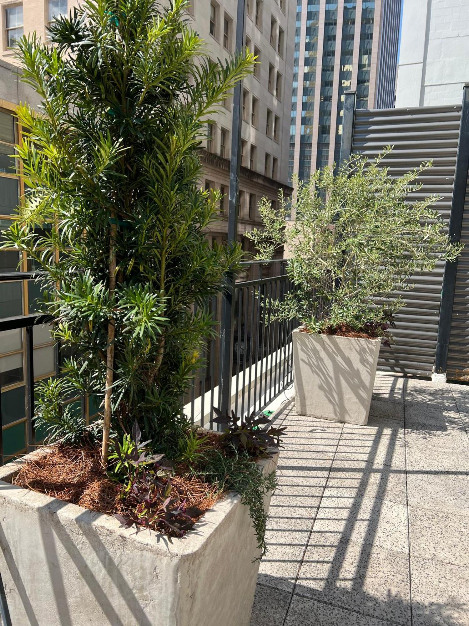 Apartment Entire W/ Party Rooftop - A Block Away From Parades *