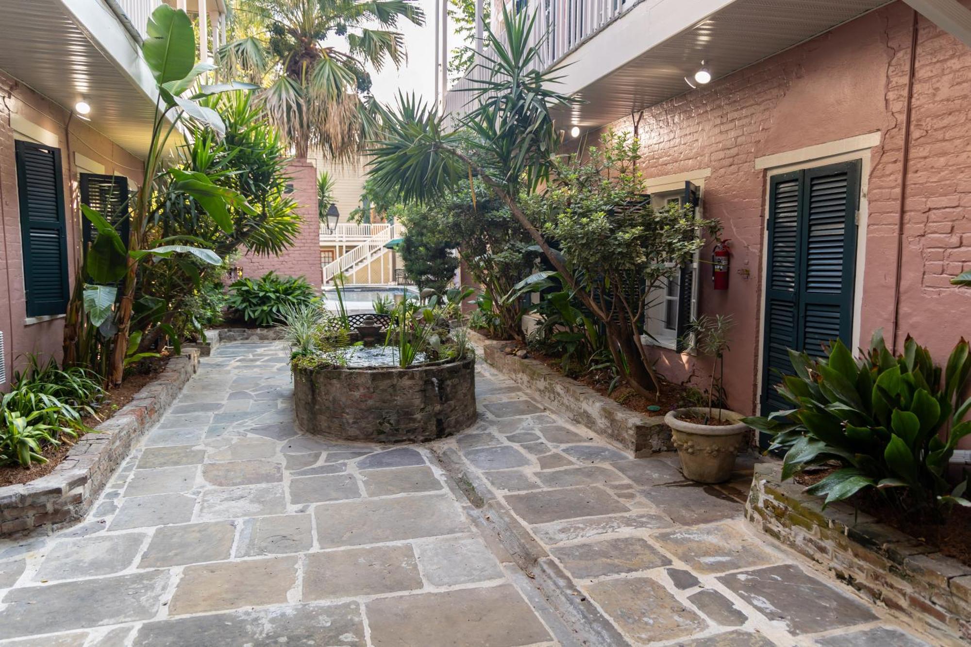 Hotel Lamothe House A French Quarter New Orleans