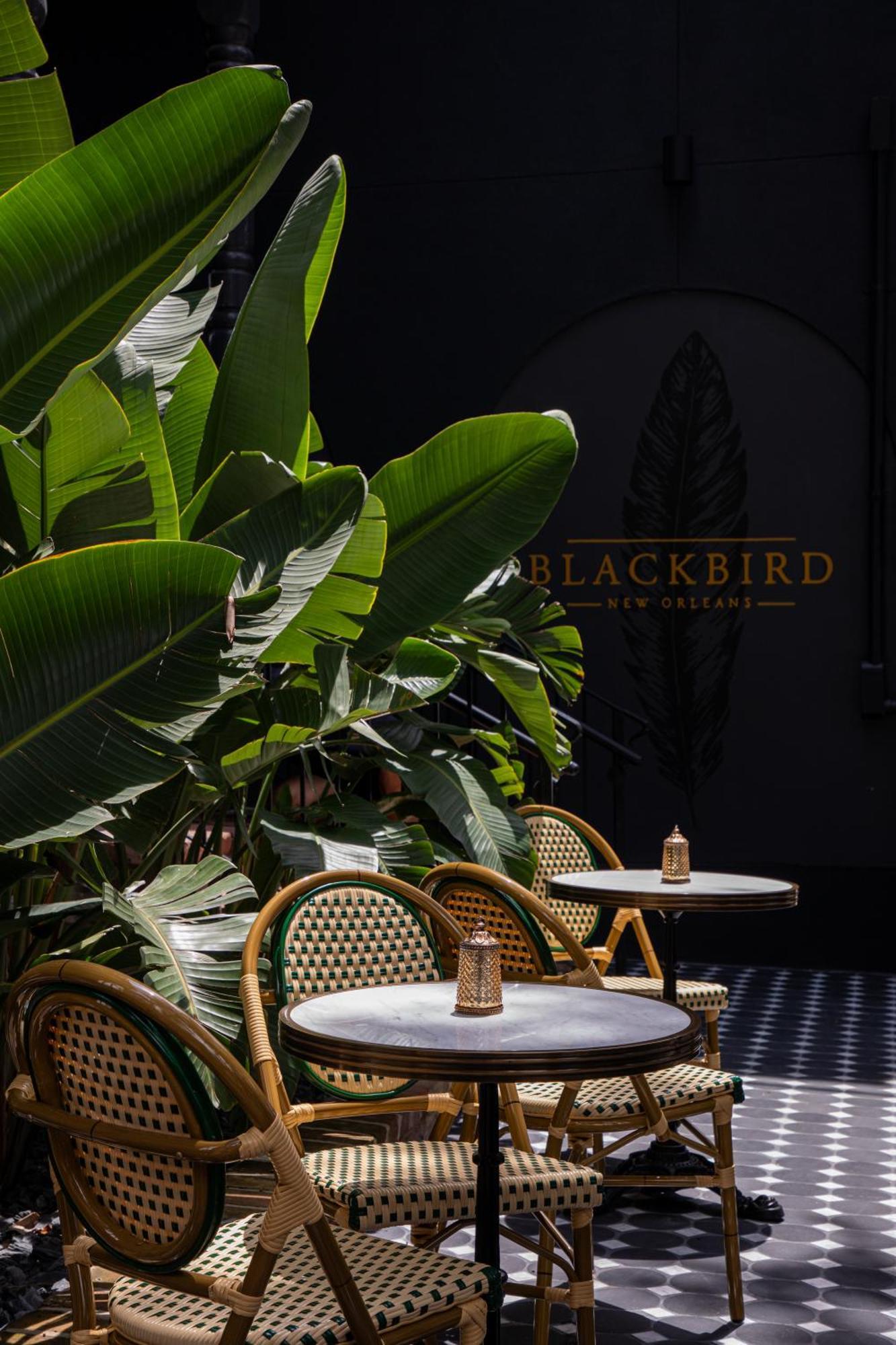 Blackbird Hotel 4*