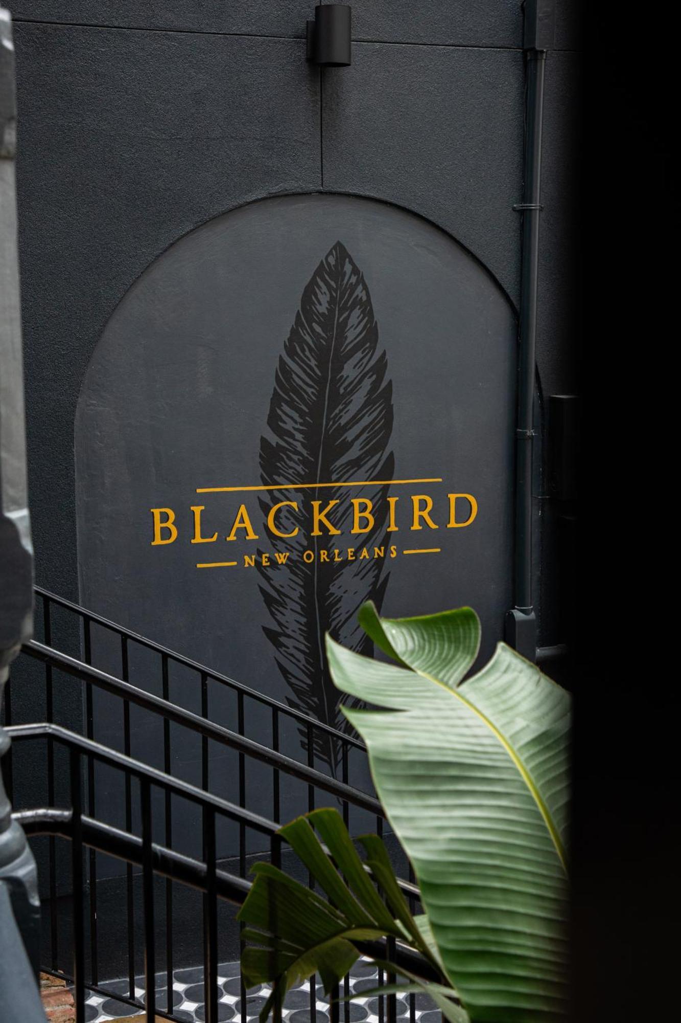 Blackbird 4* New Orleans