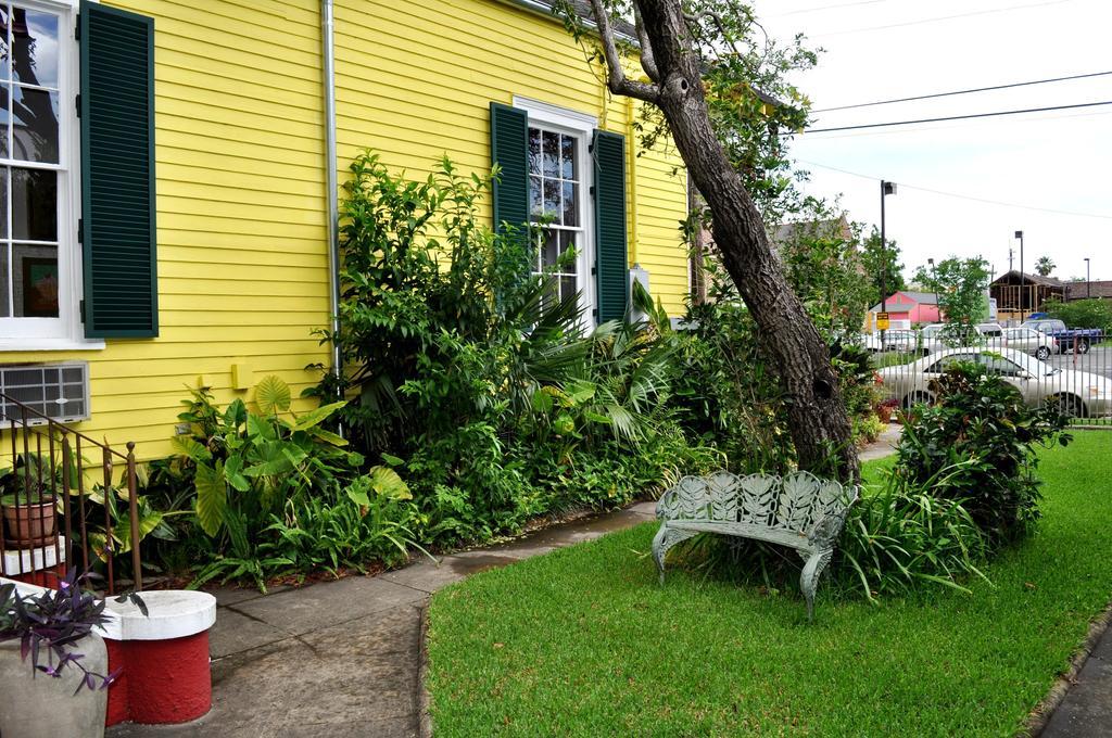 Bed & Breakfast Auld Sweet Olive New Orleans