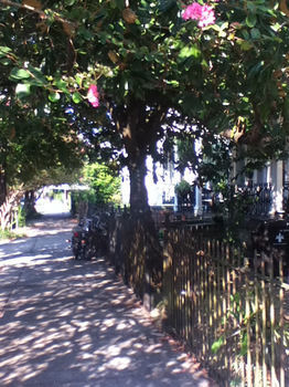 Garden District 2*