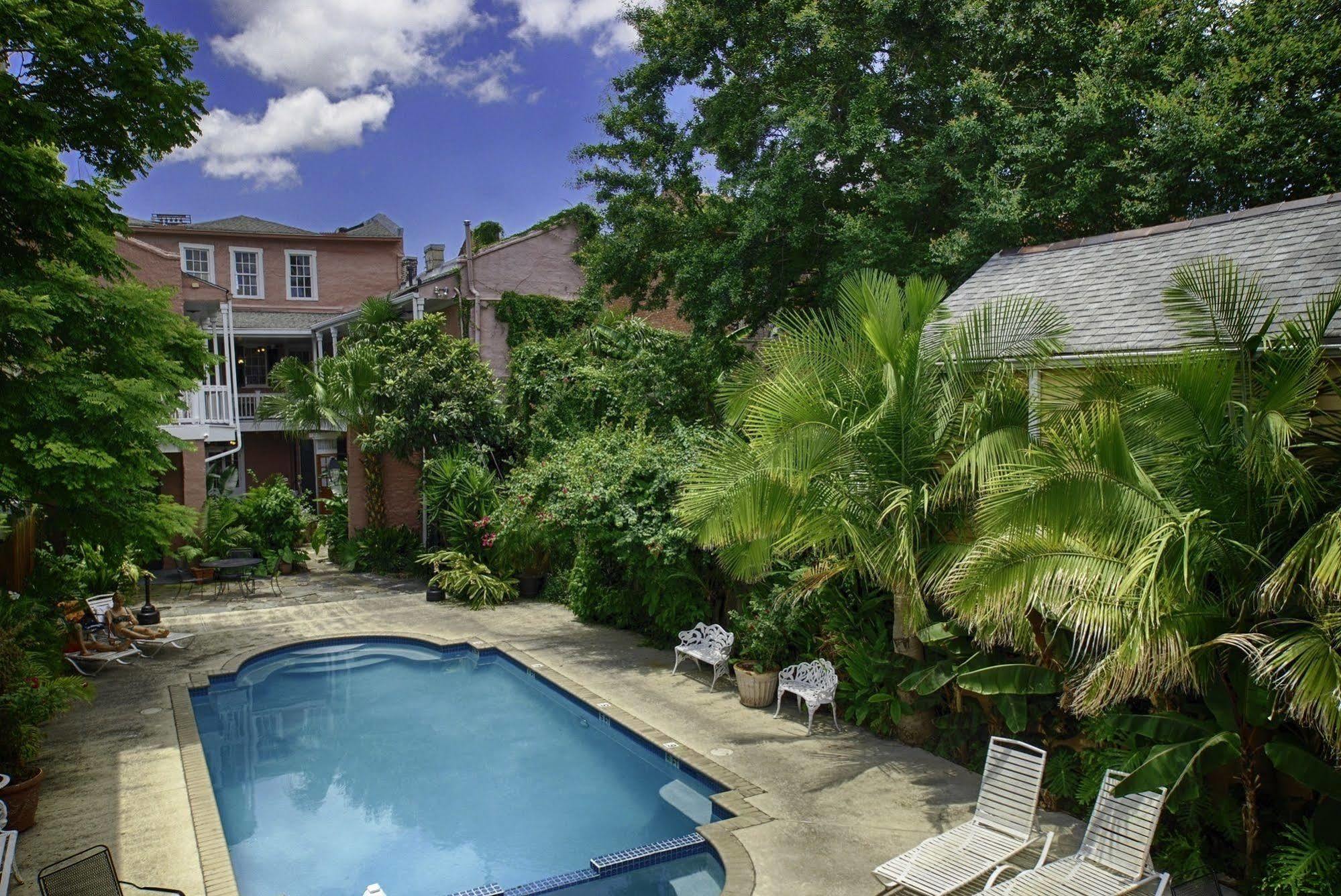 Hotel Lamothe House A French Quarter New Orleans