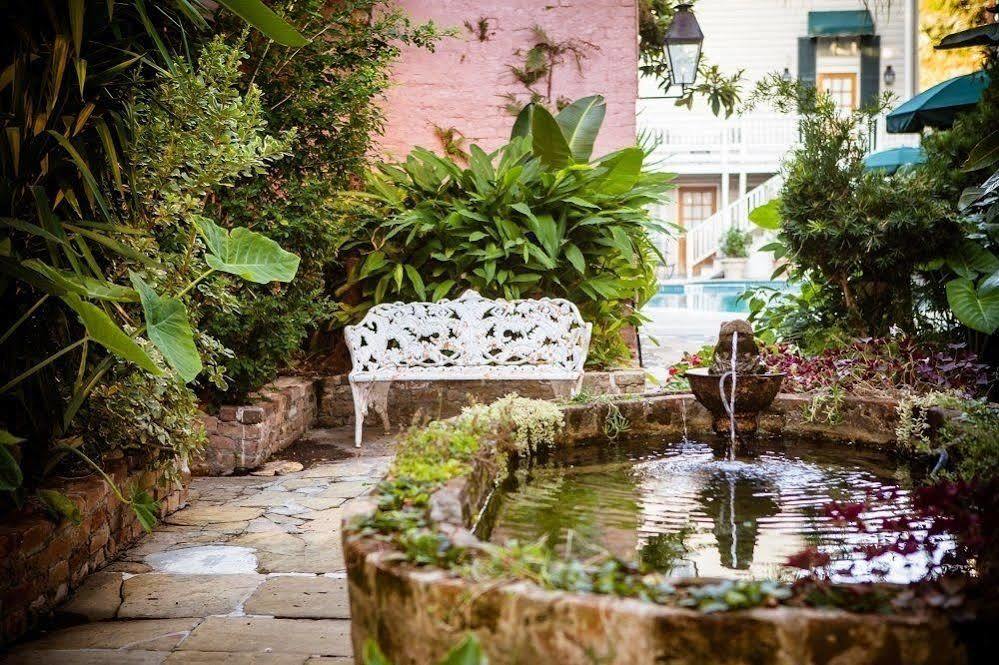 Lamothe House A French Quarter New Orleans