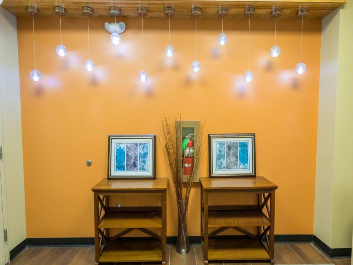 Apartment Spacious Lofts Close To French Quarter & Bourbon St.