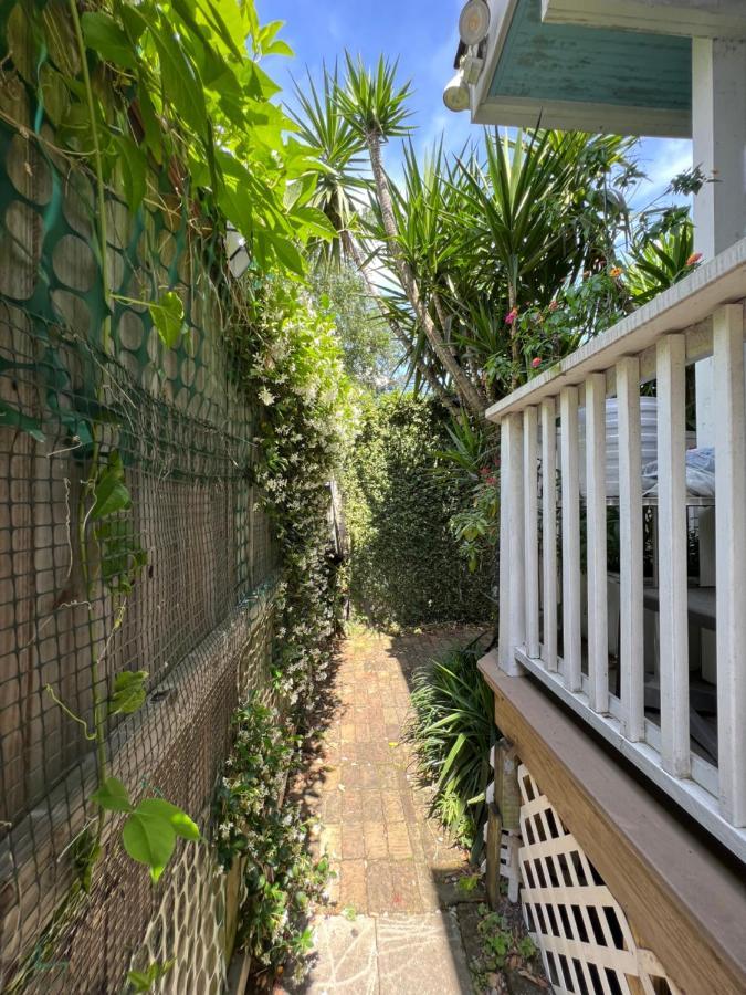 Studio Antonine Apartment New Orleans