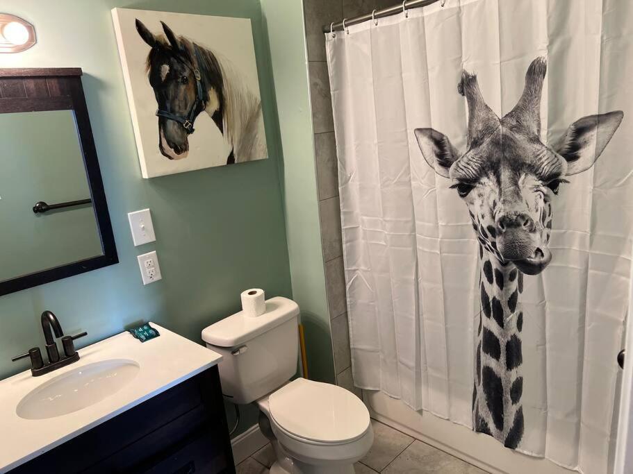 Apartment Chilled Pad 2 Blocks From The French Quarters *