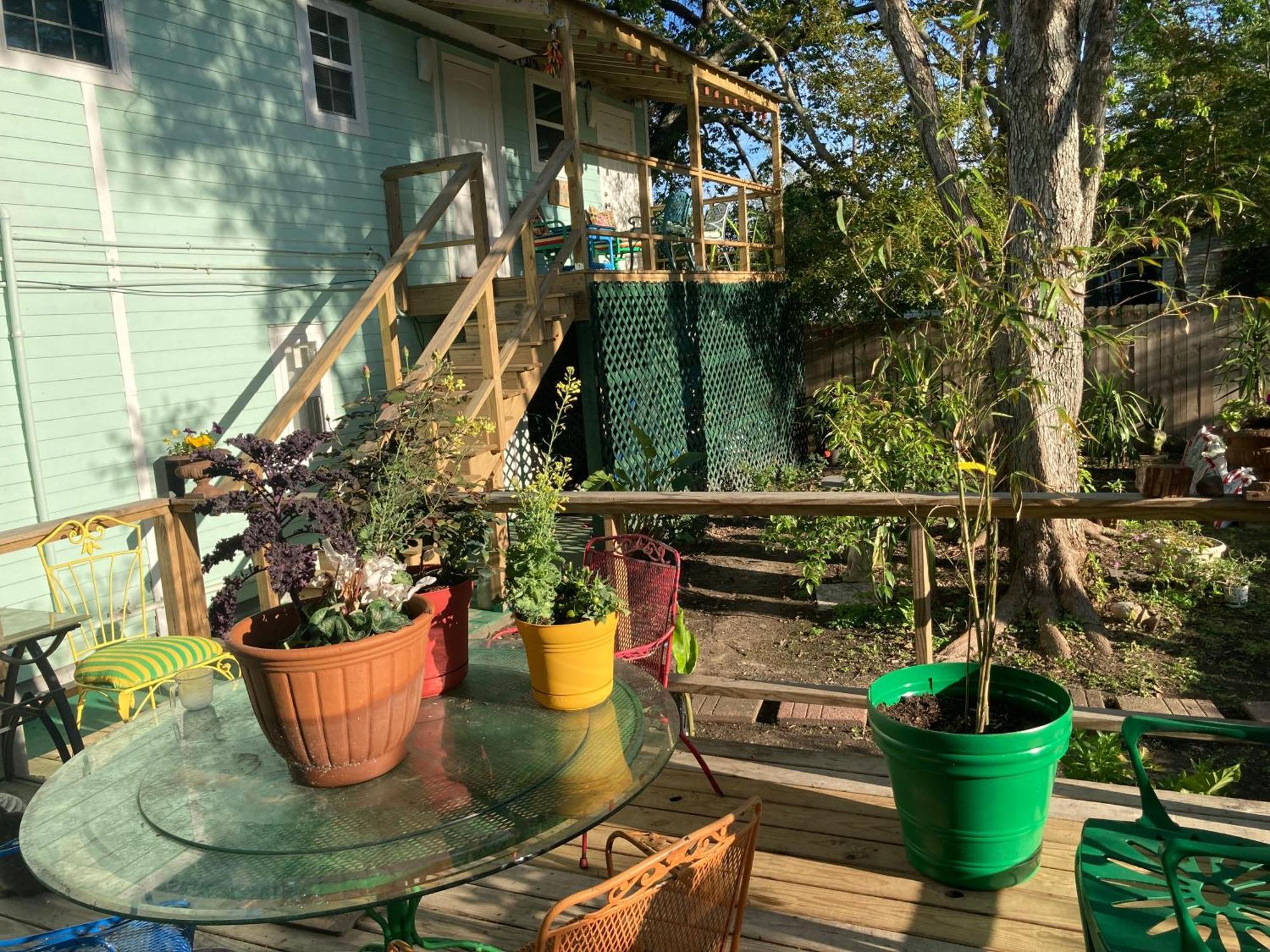Garden View Apartment New Orleans